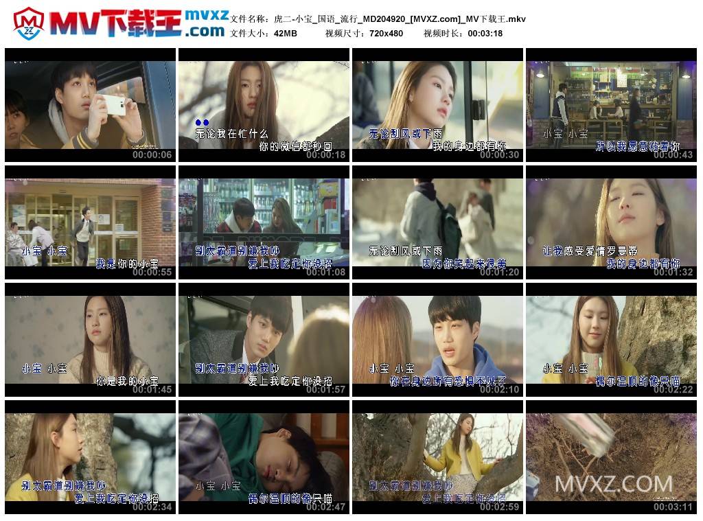 虎二-小宝_国语_流行_MD204920